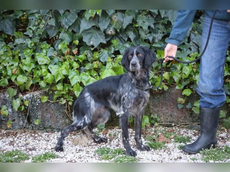 Coca - Zwischen gestern und morgen