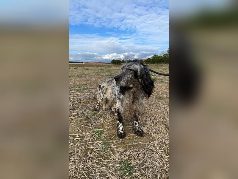 Elettra - Das Leuchten für immer