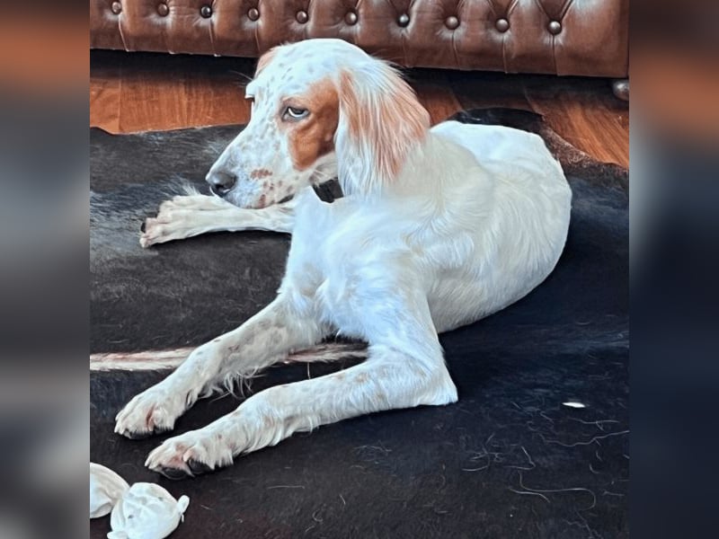 Annette - ein sanftes Huhu!