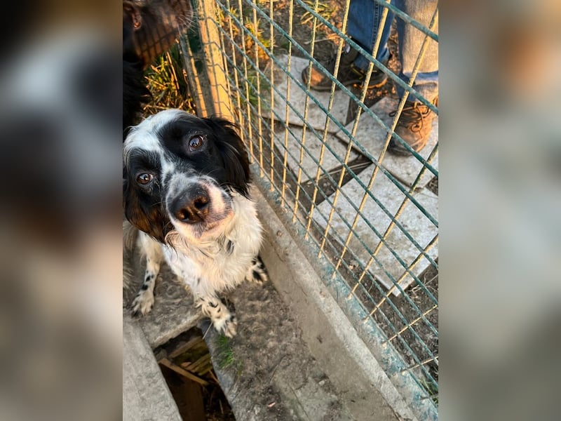 Fola - bereit, die Welt gemeinsam zu entdecken