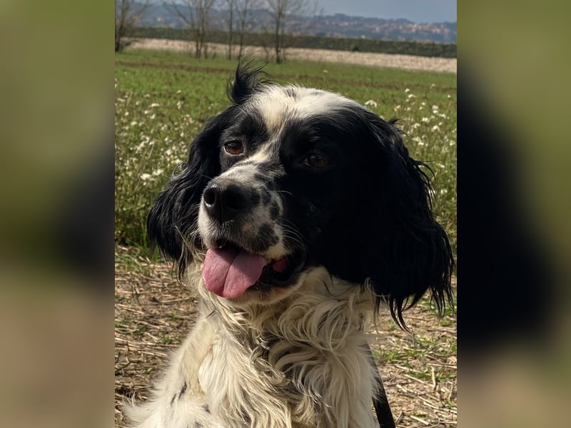 Fola - bereit, die Welt gemeinsam zu entdecken