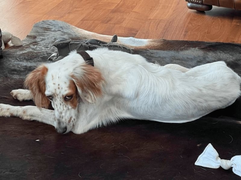 Annette - ein sanftes Huhu!