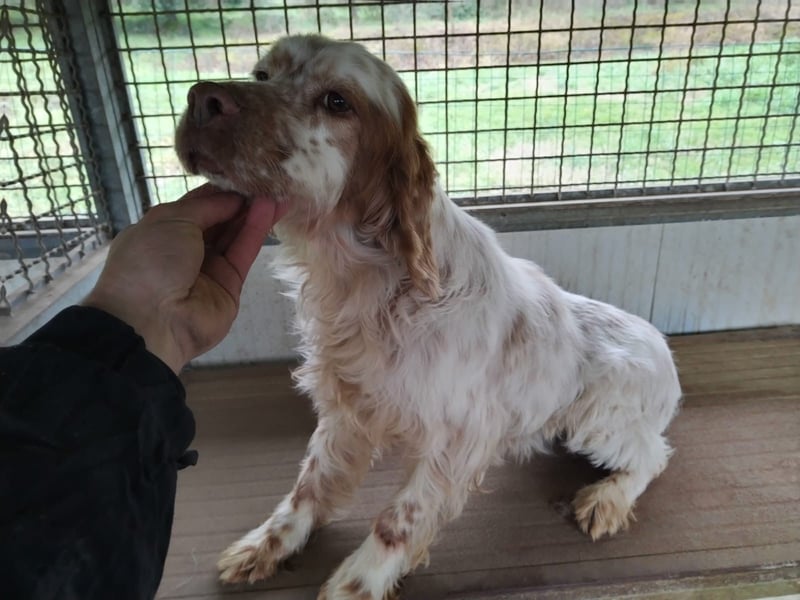 Beto - Mehr Braucht man nicht