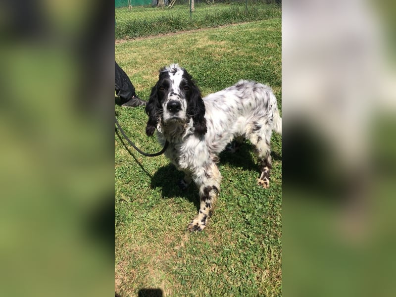 Fuorimano - Alles verloren, außer der Hoffnung auf einen Neuanfang