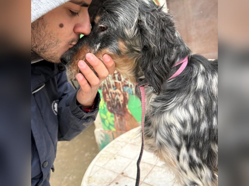 Eugenio  - so viel Sanftheit und Liebe. Wer möchte ihm ein Zuhause schenken?