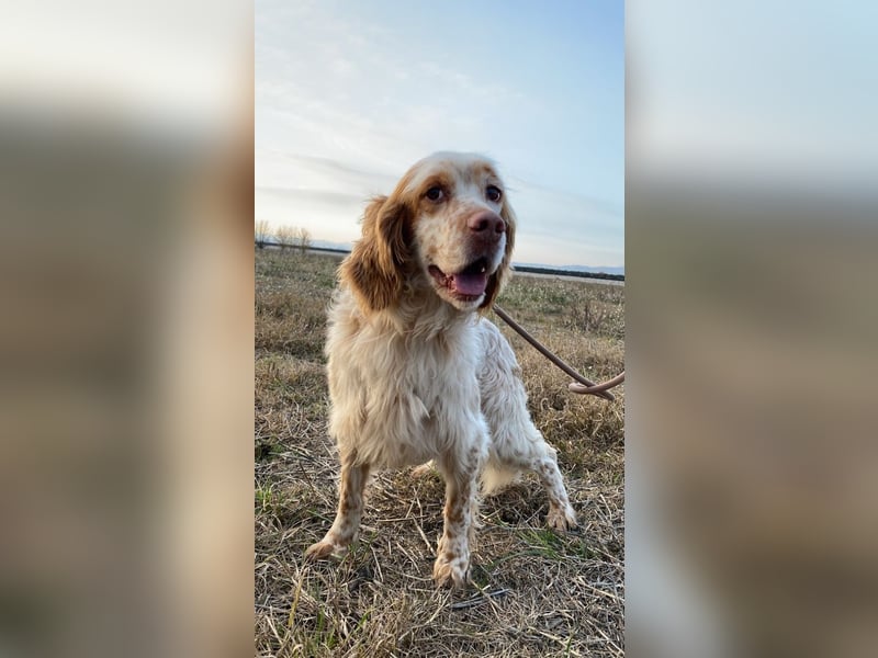 Buck - Ein neues Jahr, eine neue Hoffnung?