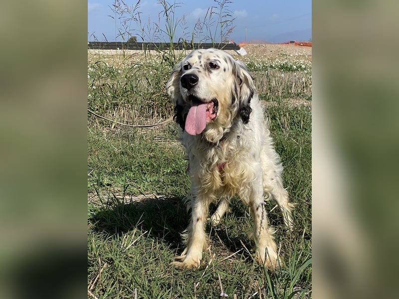 Marte - ...SOS - möchte eine Band gründen