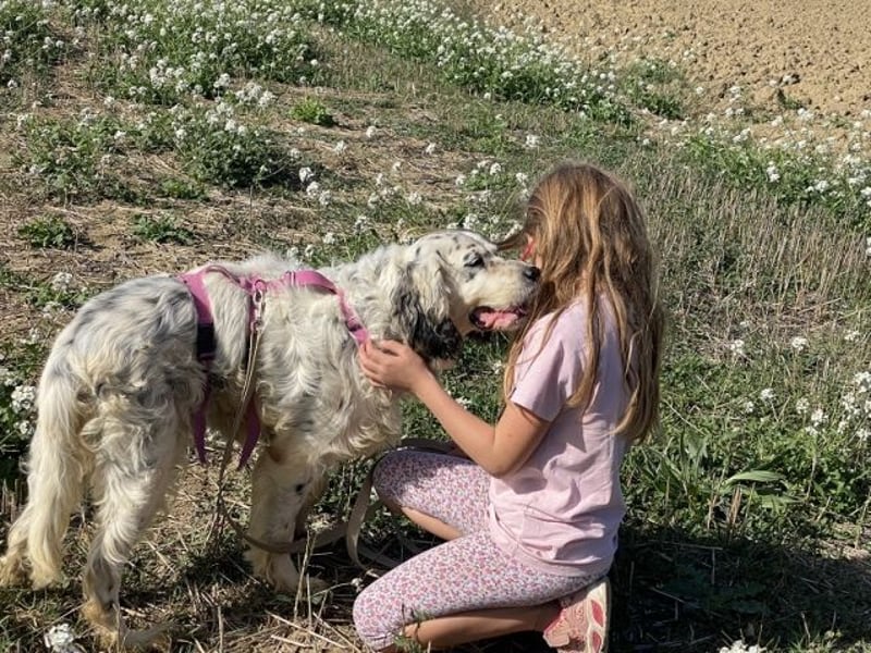 Marte - ...SOS - möchte eine Band gründen