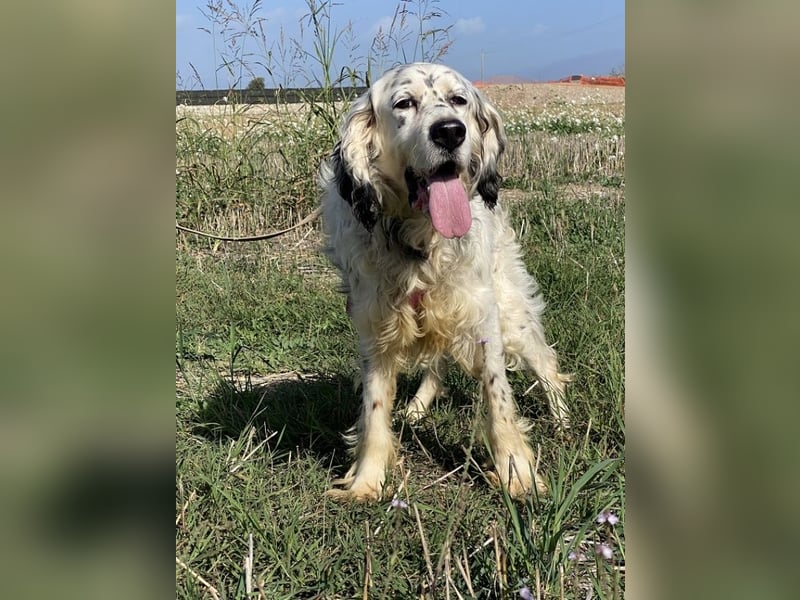 Marte - ...SOS - möchte eine Band gründen