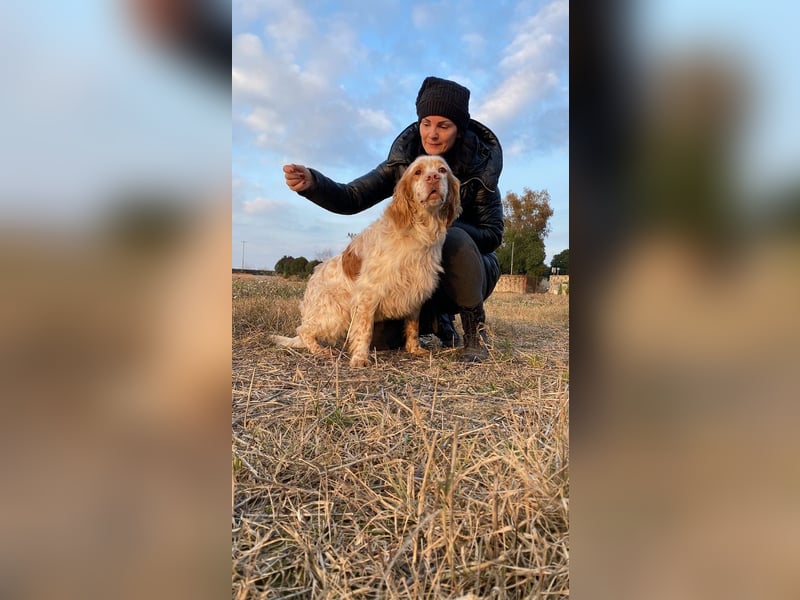 Buck - Ein neues Jahr, eine neue Hoffnung?