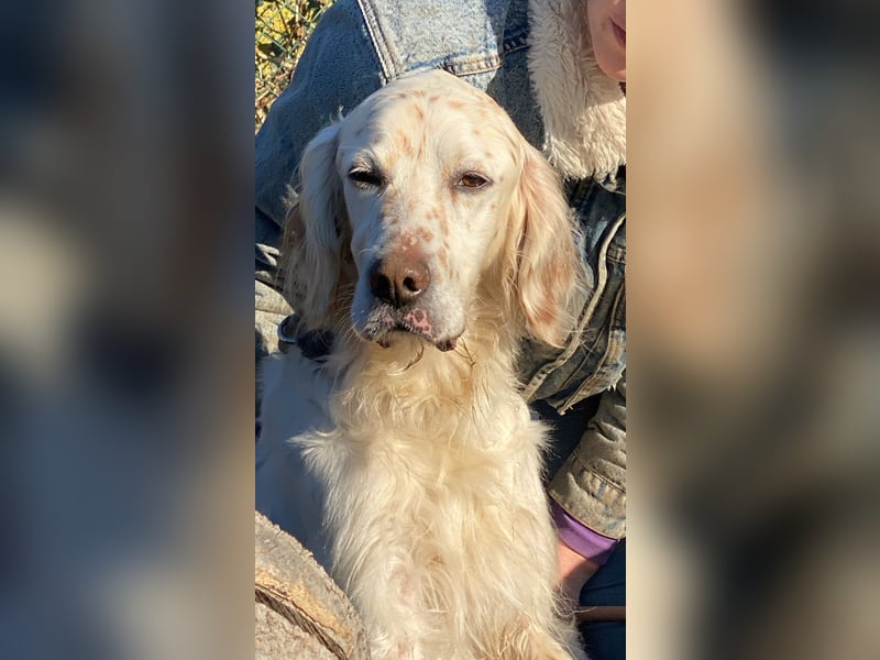 Baldone - Cappuccino mit Schokostreuseln gefällig?