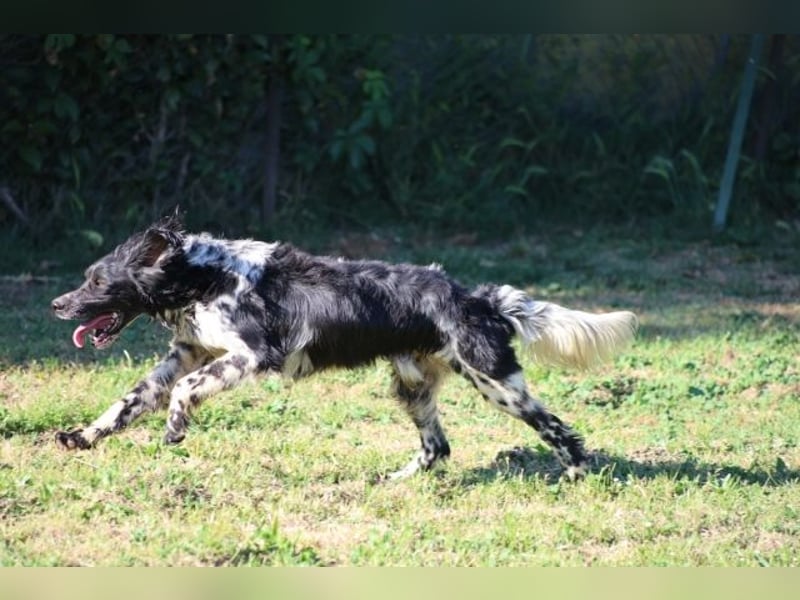 Giolli - Juhu, ich hab jetzt einen Namen