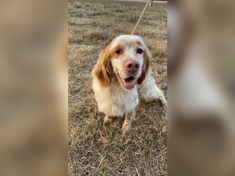 Buck - Ein neues Jahr, eine neue Hoffnung?