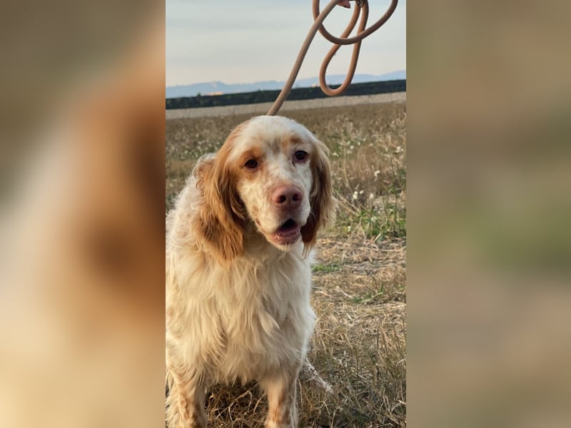 Buck - Ein neues Jahr, eine neue Hoffnung?