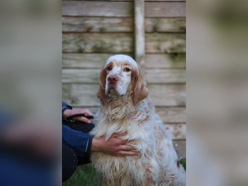 Buck - Ein neues Jahr, eine neue Hoffnung?