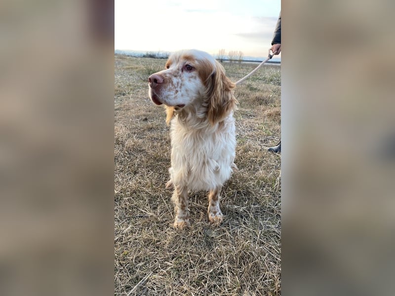 Buck - Ein neues Jahr, eine neue Hoffnung?