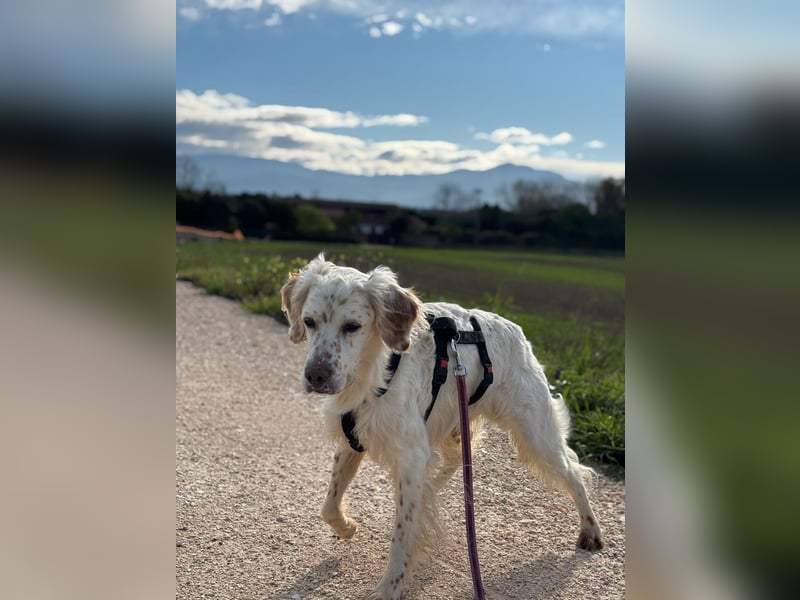 Baldone - Cappuccino mit Schokostreuseln gefällig?