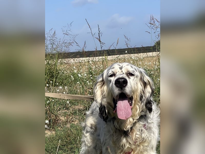 Marte - ...SOS - möchte eine Band gründen