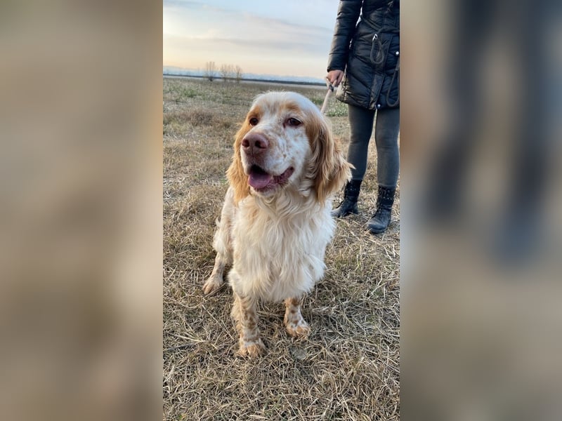 Buck - Ein neues Jahr, eine neue Hoffnung?