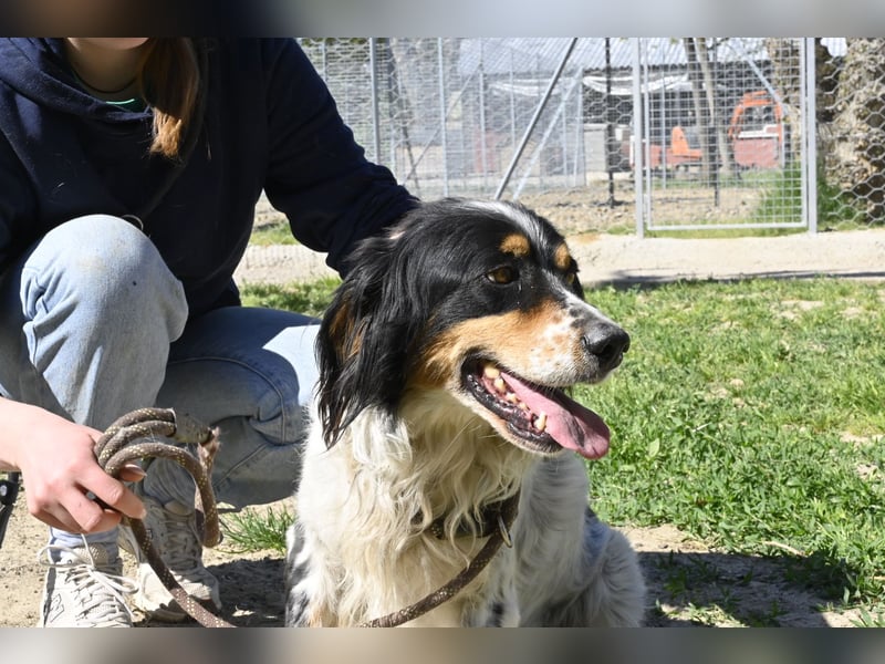 Shelby - eine neue Welt