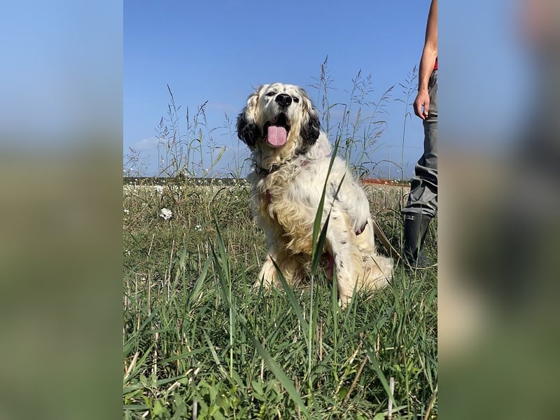 Marte - ...SOS - möchte eine Band gründen