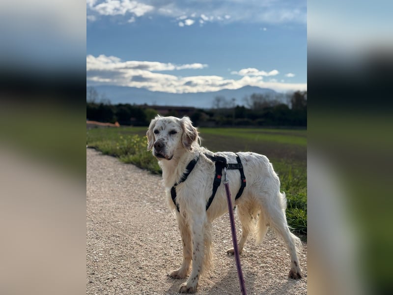 Baldone - Cappuccino mit Schokostreuseln gefällig?