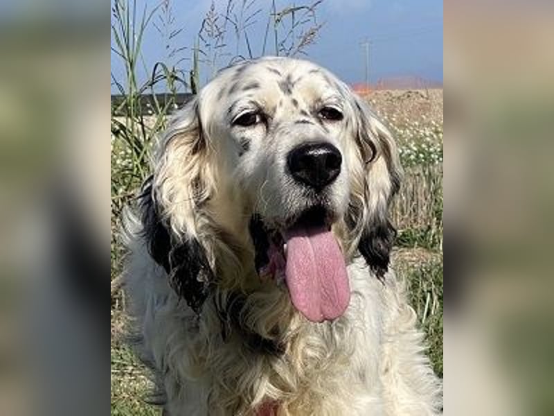 Marte - ...SOS - möchte eine Band gründen