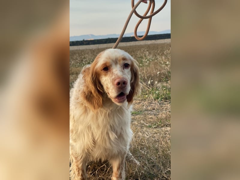 Buck - Ein neues Jahr, eine neue Hoffnung?