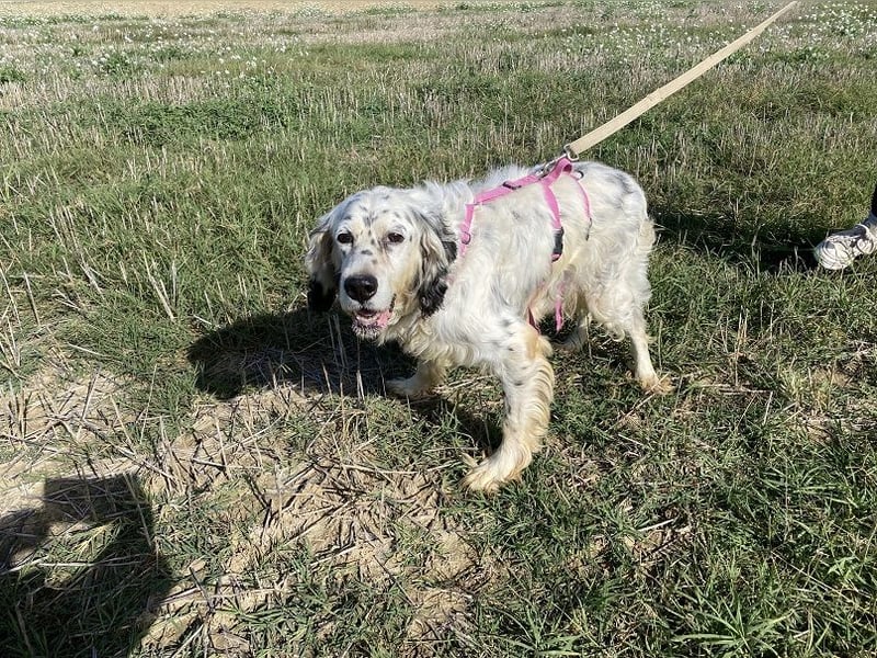 Marte - ...SOS - möchte eine Band gründen