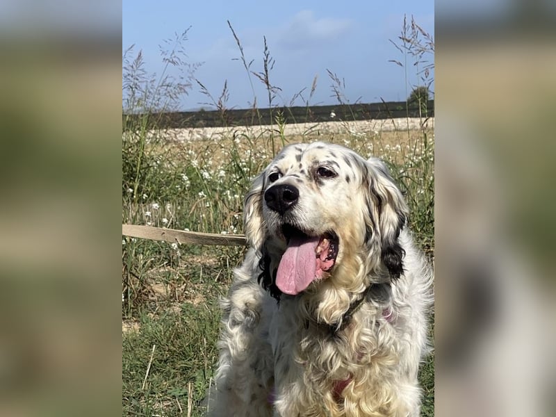 Marte - ...SOS - möchte eine Band gründen