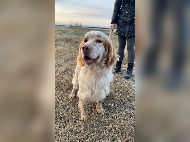 Buck - Ein neues Jahr, eine neue Hoffnung?