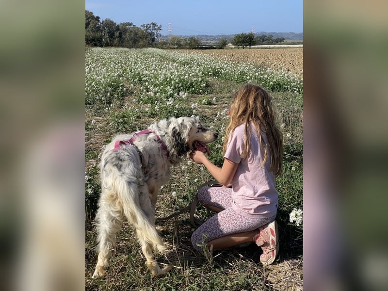 Marte - ...SOS - möchte eine Band gründen