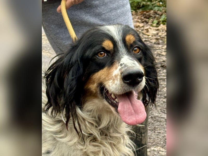 Shelby - eine neue Welt