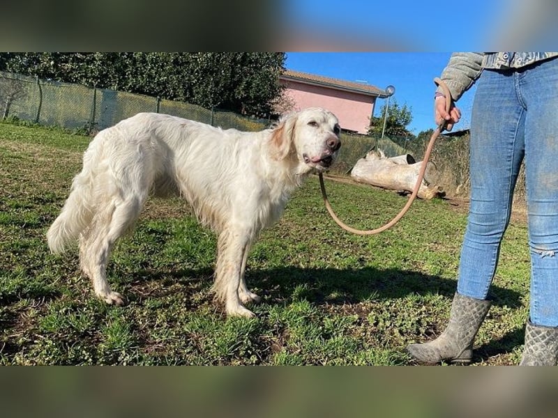 Baldone - Cappuccino mit Schokostreuseln gefällig?
