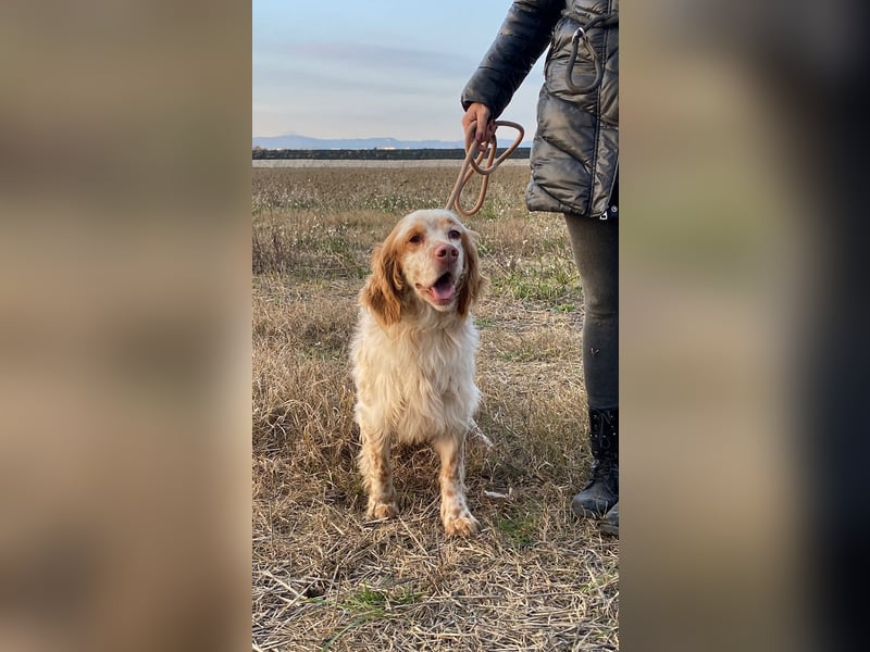Buck - Ein neues Jahr, eine neue Hoffnung?
