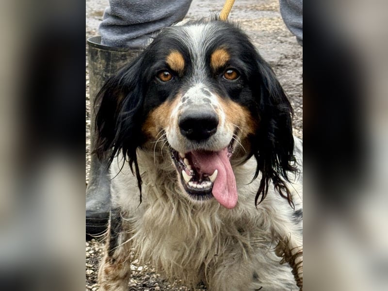 Shelby - eine neue Welt