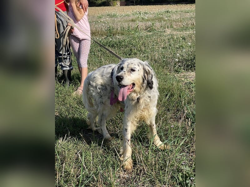 Marte - ...SOS - möchte eine Band gründen