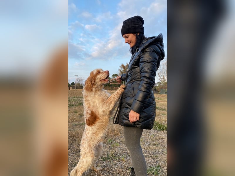 Buck - Ein neues Jahr, eine neue Hoffnung?