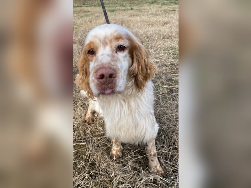 Buck - Ein neues Jahr, eine neue Hoffnung?