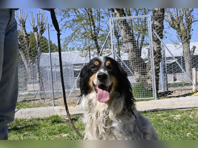 Shelby - eine neue Welt