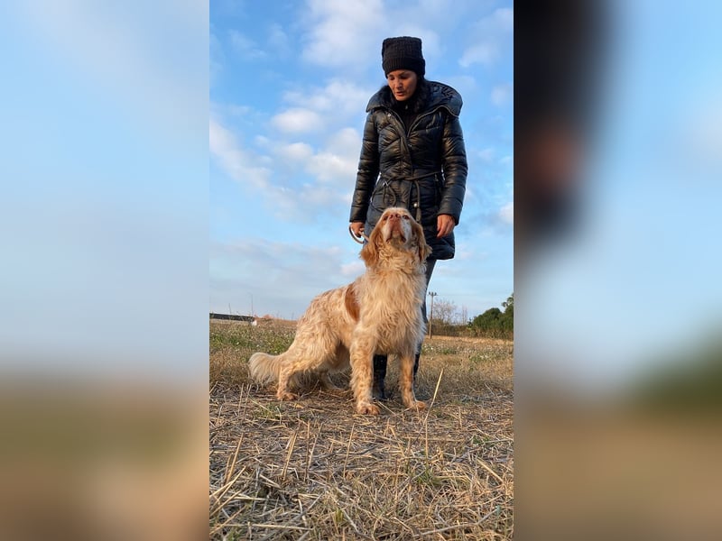 Buck - Ein neues Jahr, eine neue Hoffnung?