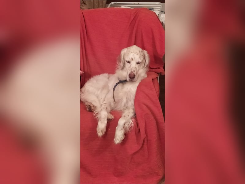 Baldone - Cappuccino mit Schokostreuseln gefällig?