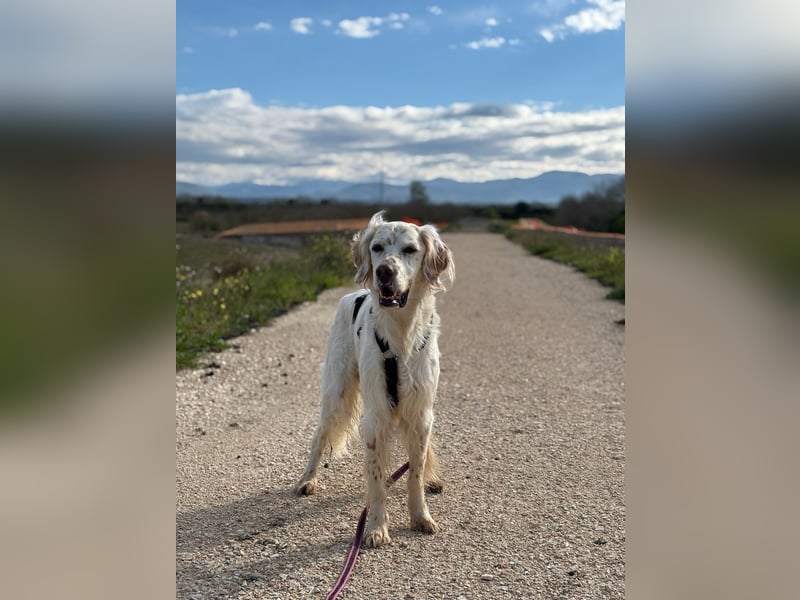Baldone - Cappuccino mit Schokostreuseln gefällig?