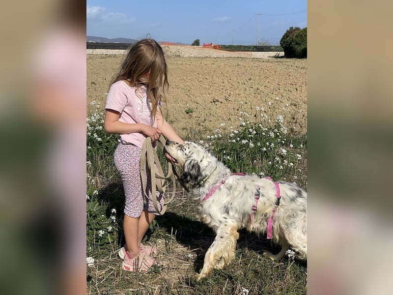 Marte - ...SOS - möchte eine Band gründen