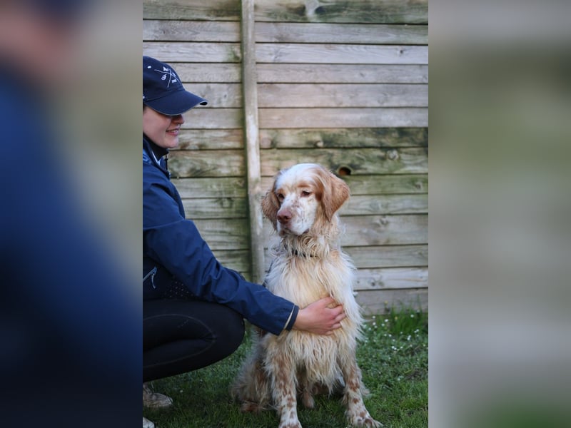 Buck - Ein neues Jahr, eine neue Hoffnung?