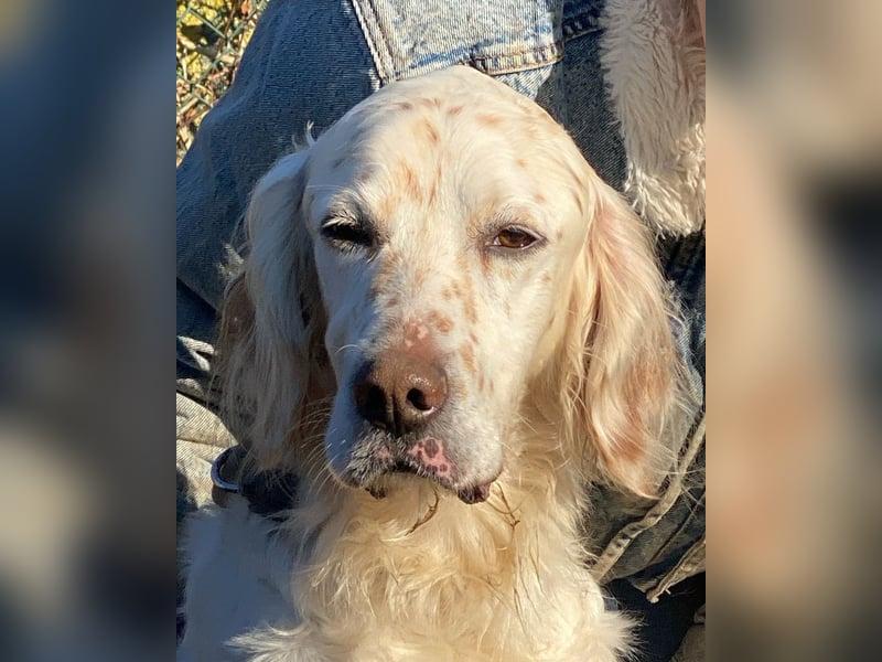 Baldone - Cappuccino mit Schokostreuseln gefällig?