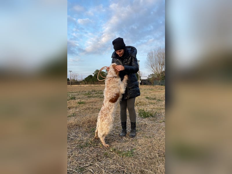 Buck - Ein neues Jahr, eine neue Hoffnung?