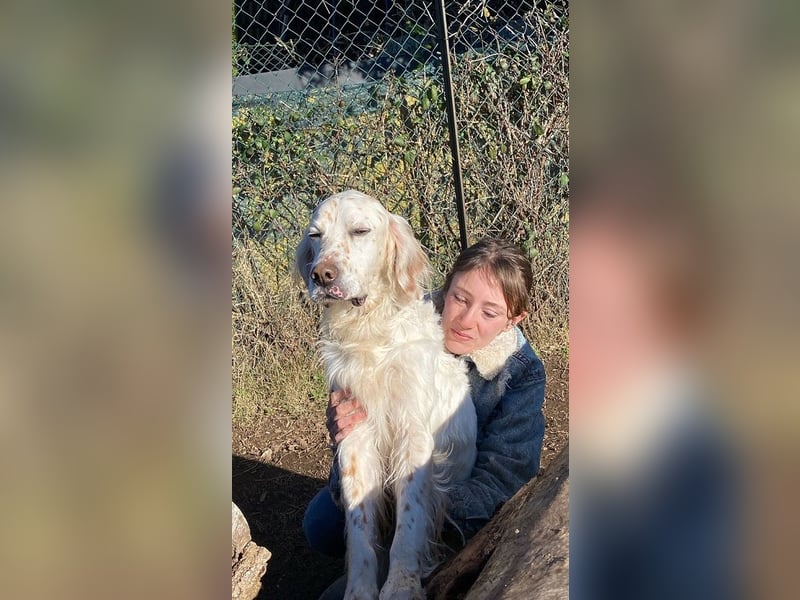 Baldone - Cappuccino mit Schokostreuseln gefällig?