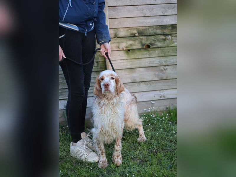 Buck - Ein neues Jahr, eine neue Hoffnung?