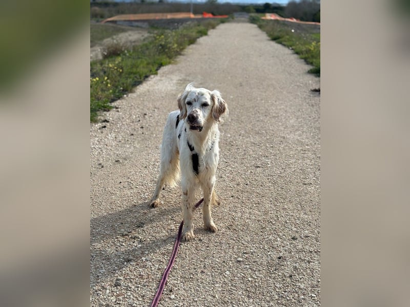 Baldone - Cappuccino mit Schokostreuseln gefällig?